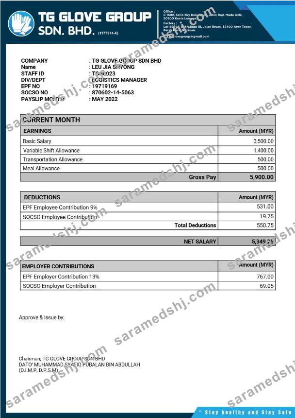 TG Glove Group manufacture payslip template in Word and PDF formats.pdf, 1
